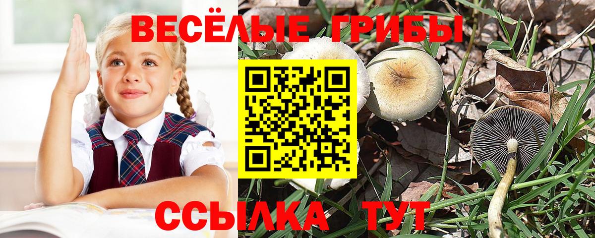 Псилоцибиновые грибы MAGIC MUSHROOMS Орёл