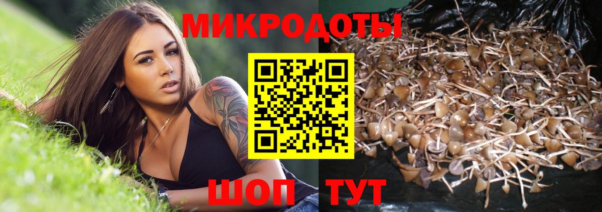 Галлюциногенные грибы мухоморы  сколько стоит  Орёл  Вход с VPN  Псилоцибиновые грибы Magic Shrooms 