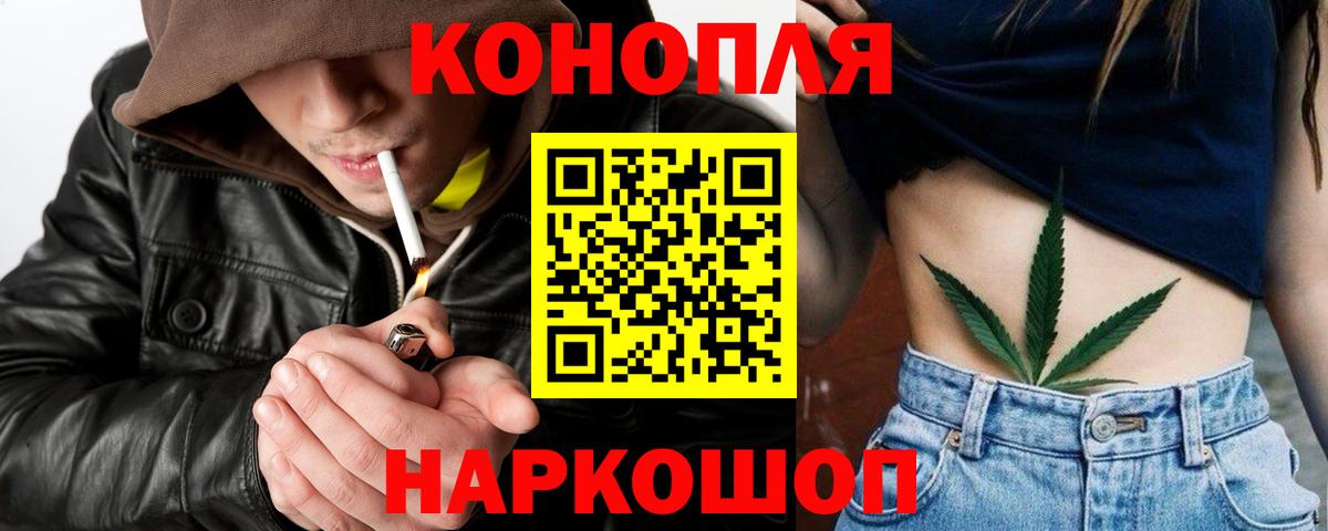 Бошки марихуана план  Вход с VPN  МАРИХУАНА ГИДРОПОН  Орёл  Шишки марихуана конопля 